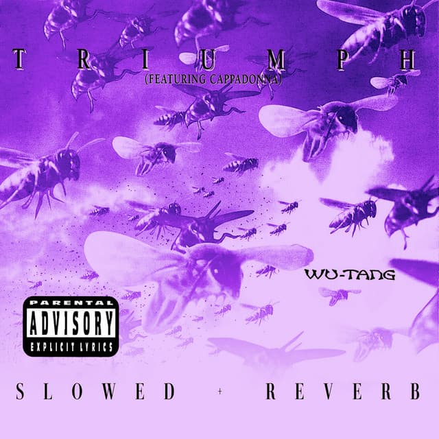 Triumph (feat. Cappadonna) [slowed + reverb]