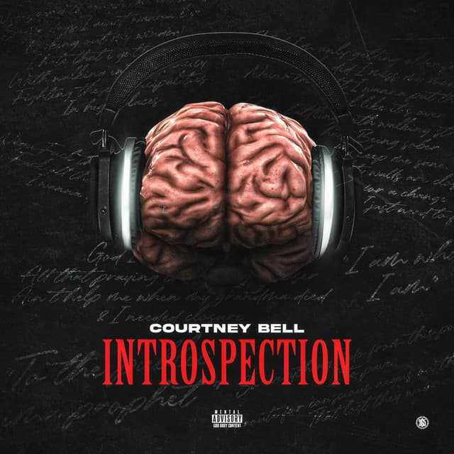 Introspection