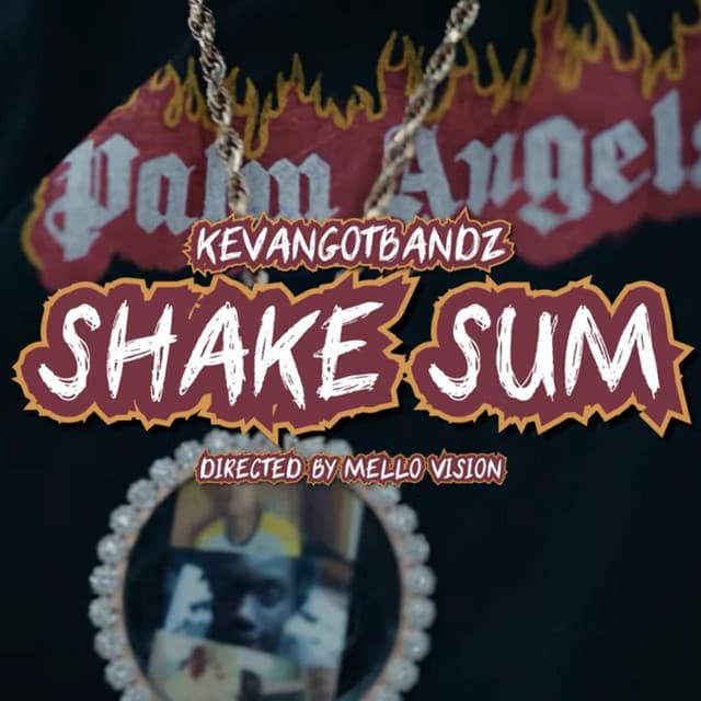 Shake Sum