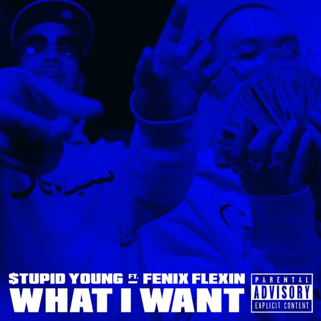 What I Want (feat. Fenix Flexin)