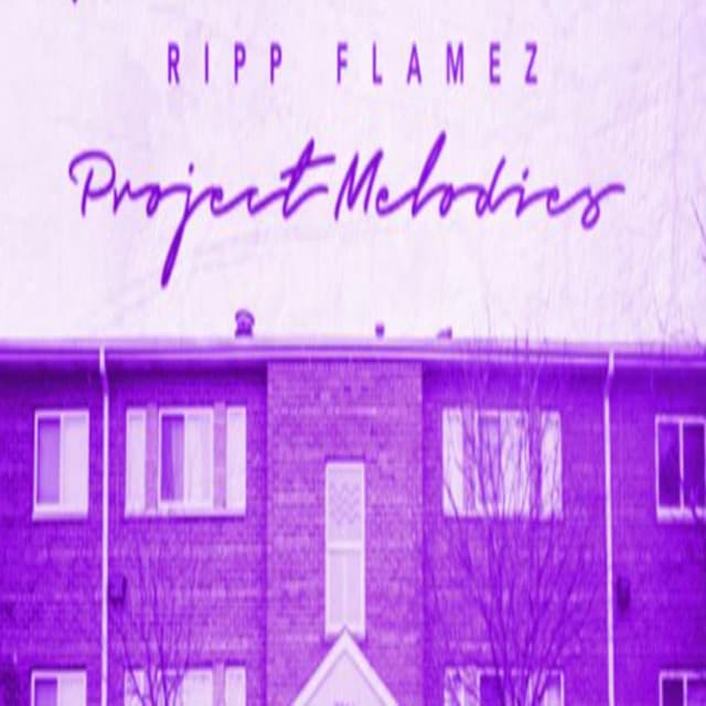 Project Melodies (ChopNotSlop Remix)