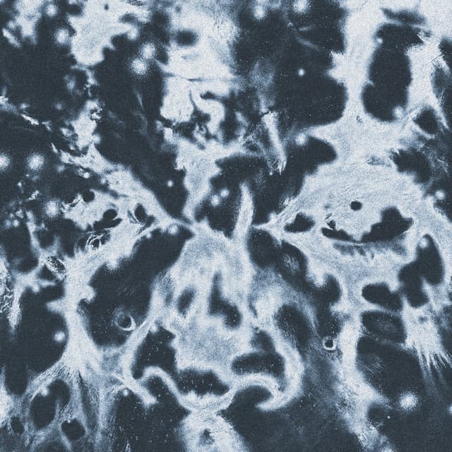 Mind Dimension (Giaggi Remix)