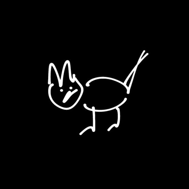 Stray Cat