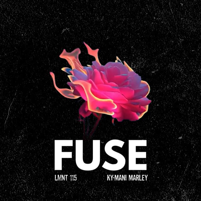 Fuse