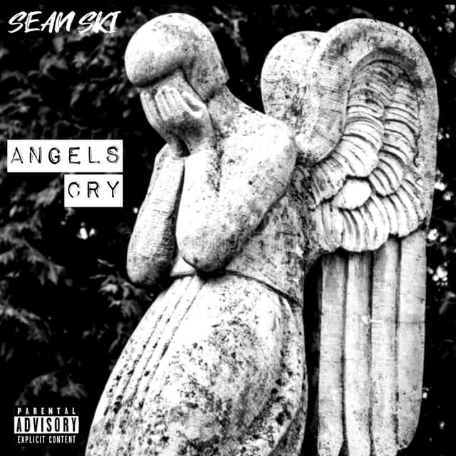 Angels Cry