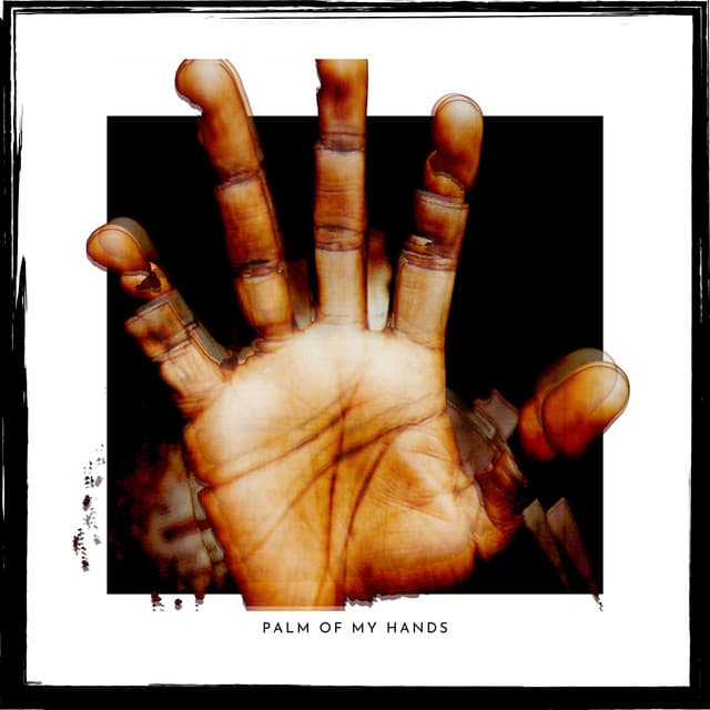 PALM OF MY HANDS