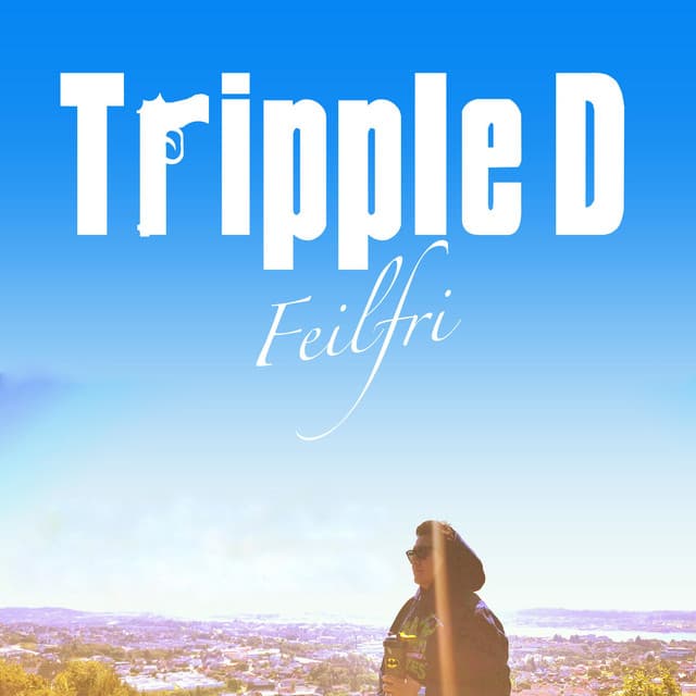 Feilfri