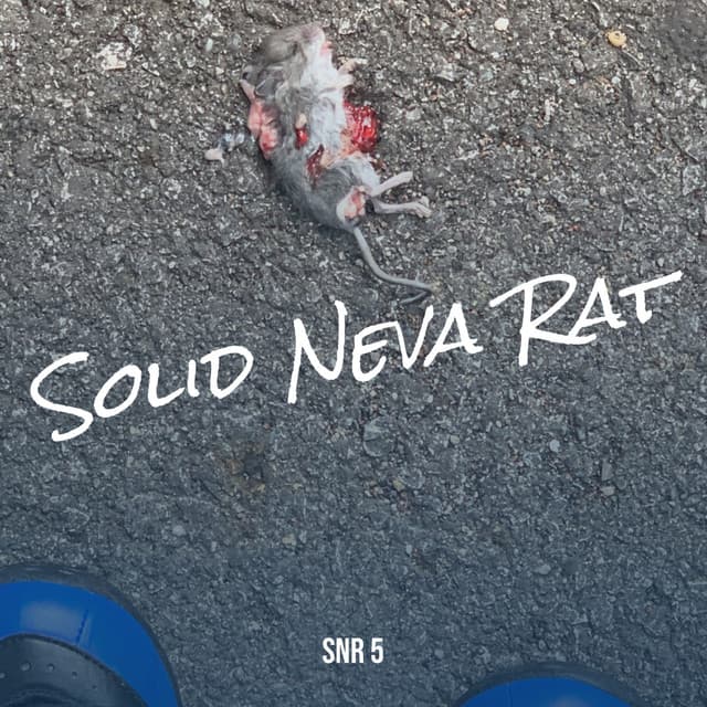 Solid Neva Rat