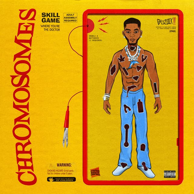 Chromosomes