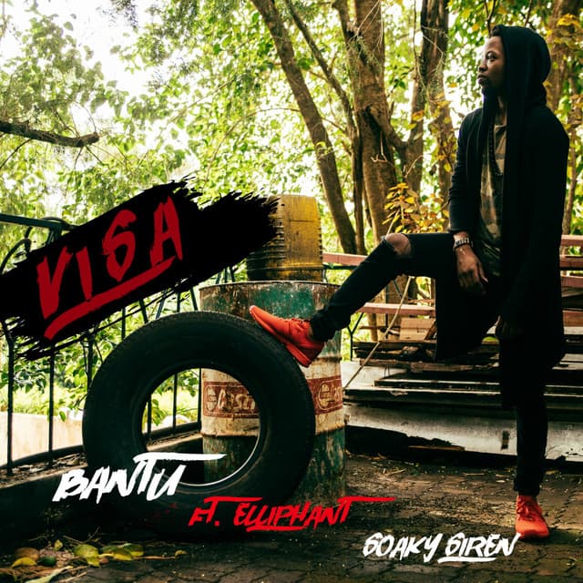 Visa (feat. Elliphant & Soaky Siren)