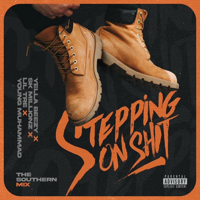 Stepping On Shit (Southern Mix)