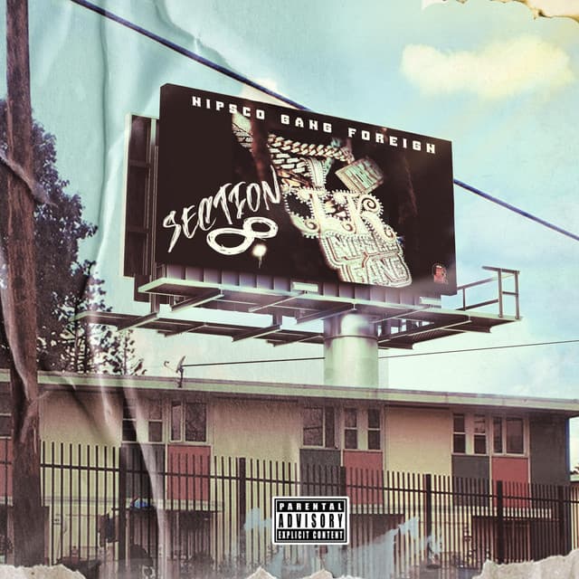 section 8