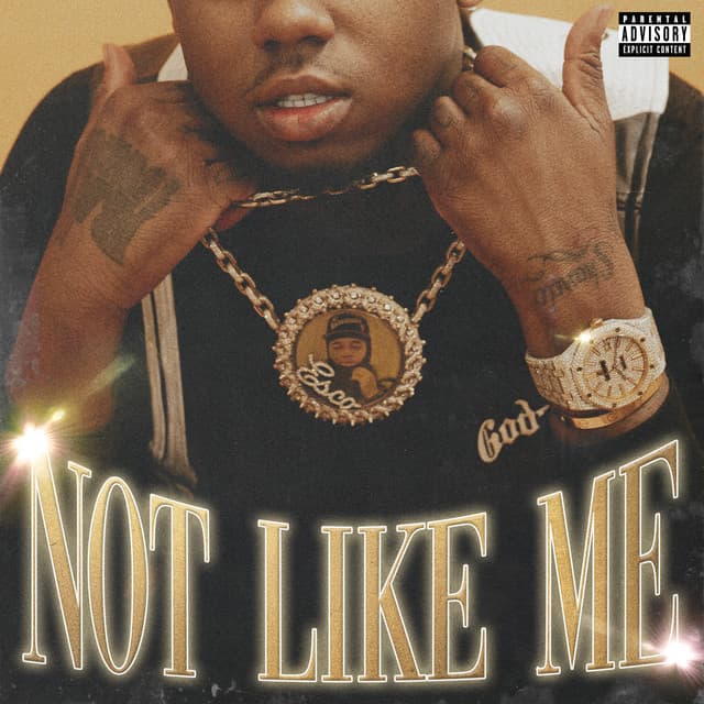 Not Like Me