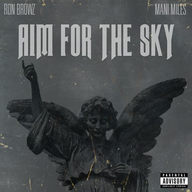 Aim for the Sky