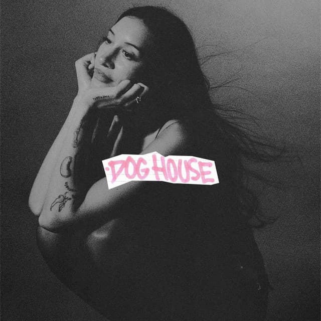 DOG HOUSE