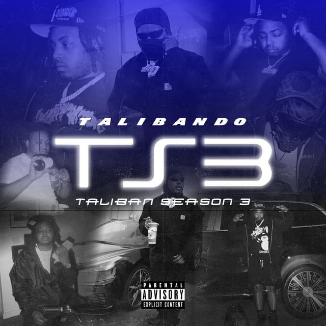 TS3