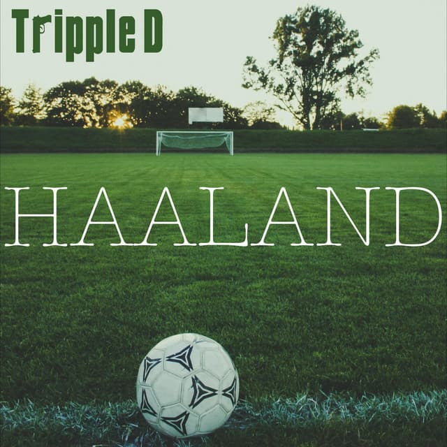 Haaland