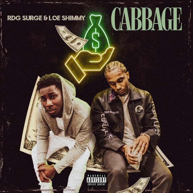 Cabbage