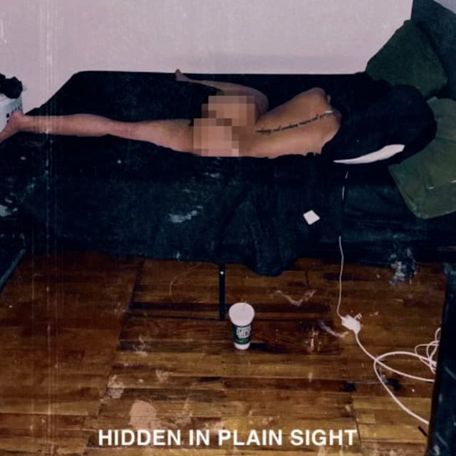 Hidden in Plain Sight - Instrumentals