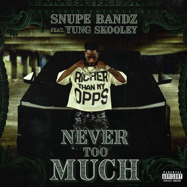 Never Too Much (feat. Yung Skooley)