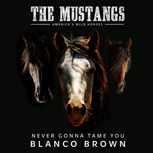 Never Gonna Tame You (Original Song from “The Mustangs: America’s Wild Horses”)