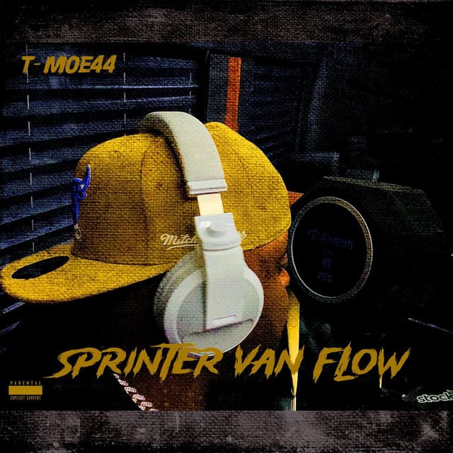 Sprintervan Flow