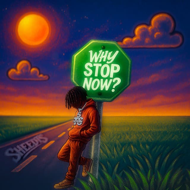 Why Stop Now?