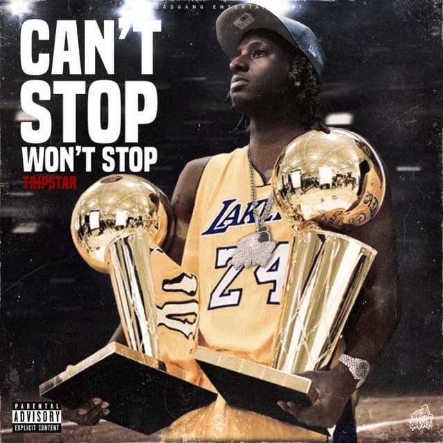 Can't Stop Won't Stop