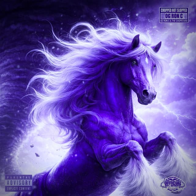 NEED MORE HORSES (Chopped Not Slopped Remix)