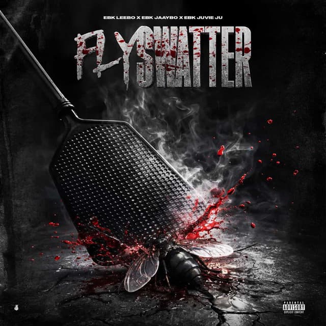 Fly Swatter