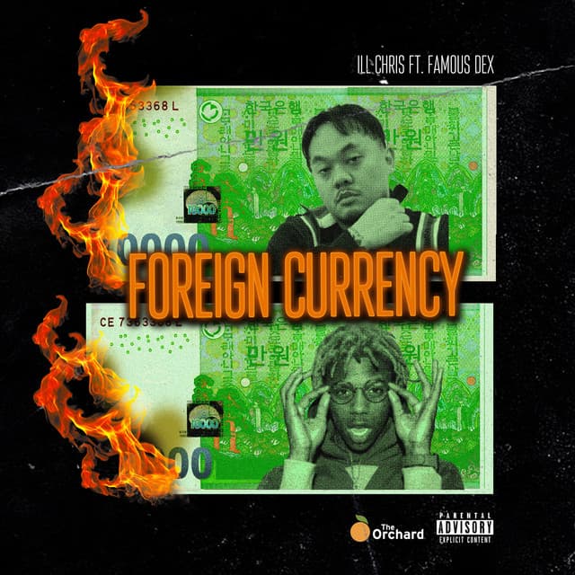 Foreign Currency