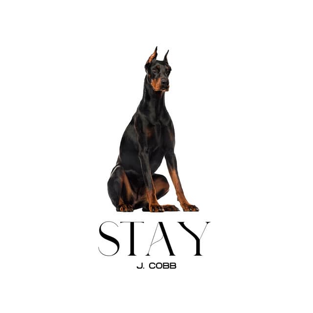 Stay