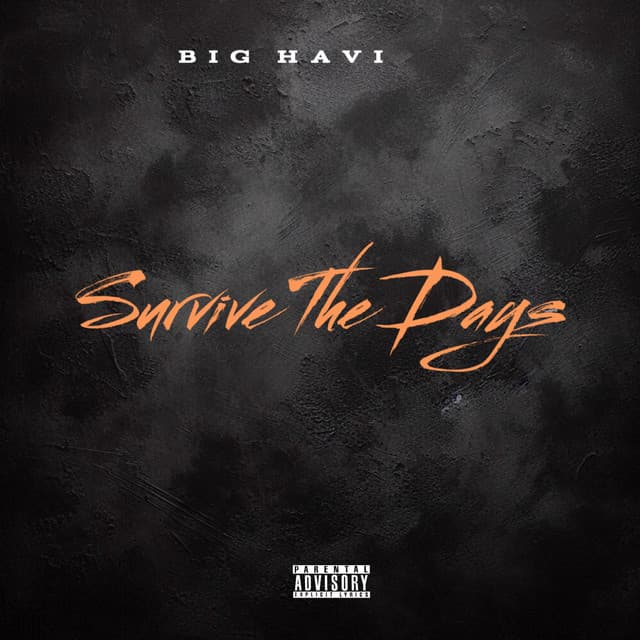 Survive The Days