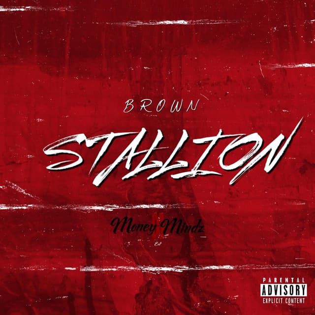 Stallion